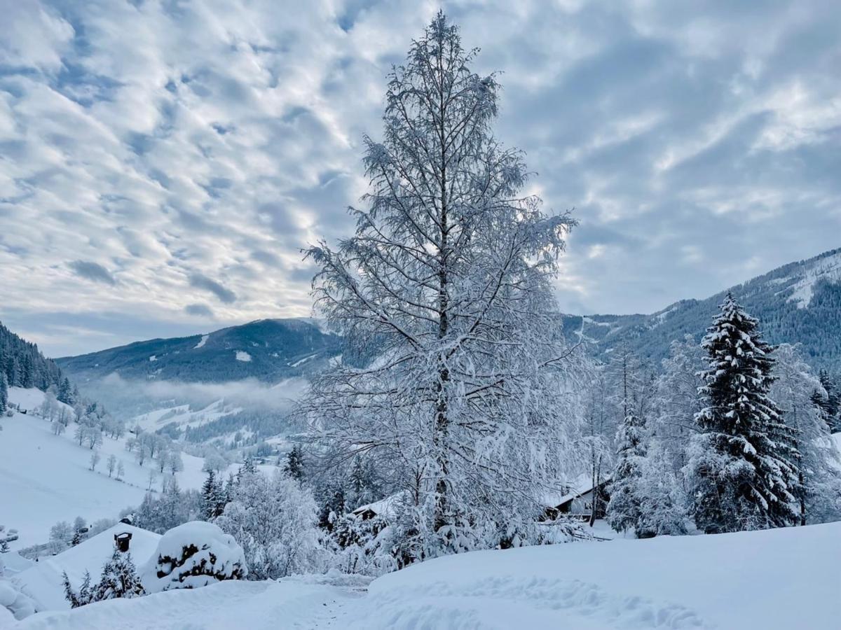 Апартаменты Alpenliebe Бад Кляйнкирххайм Экстерьер фото